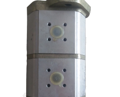 Double gear pump 96279410