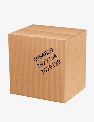 O Ring Seal3089240