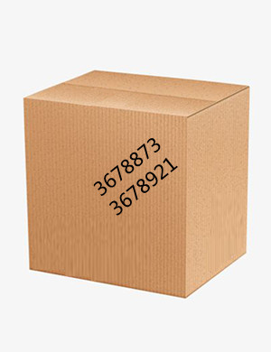 Screw Plug3678921